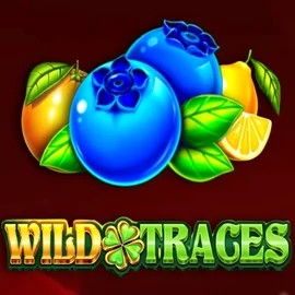 Slots logo of Wild Traces from Amusnet Interactive at Roby Casino